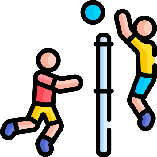 Volleyball